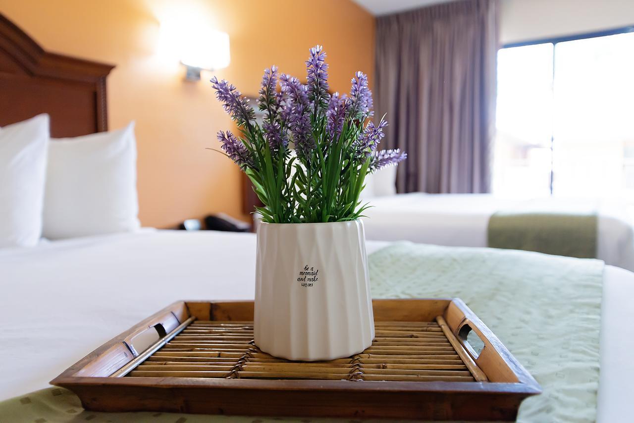 Ramada By Wyndham Tucson Airport Hotel